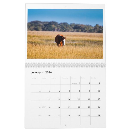 2026 Wall Calendar - SunshineShoots カレンダー (1月 2026)
