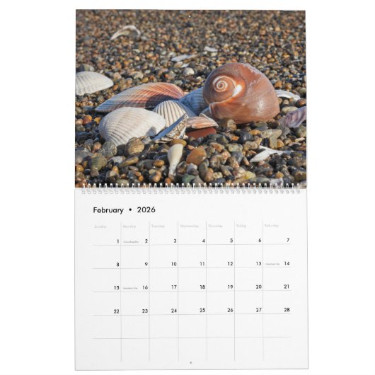 2026 Wall Seashell Calendar Beach Shells Gift カレンダー (2月 2026)