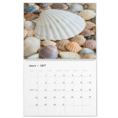 2026 Wall Seashell Calendar Beach Shells Gift カレンダー (3月 2027)