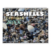 2026 Wall Seashell Calendar Beach Shells Gift カレンダー (カバー)