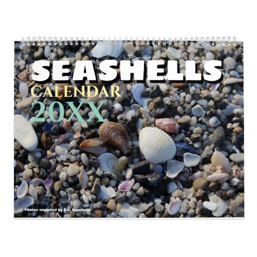 2026 Wall Seashell Calendar Beach Shells Gift カレンダー (カバー)