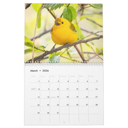 2026 Warblers - Original Bird Photo Calendar カレンダー (3月 2026)
