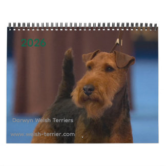 2026 Welsh Terrier Calendar カレンダー
