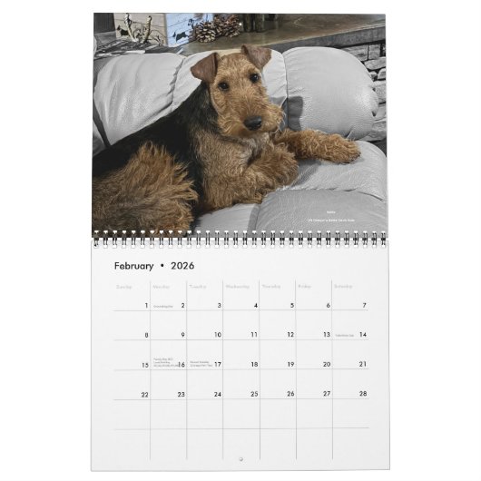 2026 Welsh Terrier Calendar カレンダー (2月 2026)