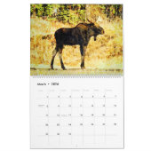 2026 Wild Moose Watercolor Painting Wildlife Art カレンダー (3月 2026)