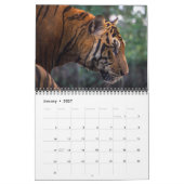 2026 Wild Tiger カレンダー (1月 2027)
