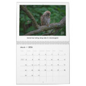 2026 Wildlife Calendar by Kevin Harris カレンダー (3月 2026)