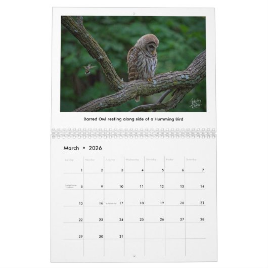 2026 Wildlife Calendar by Kevin Harris カレンダー (3月 2026)