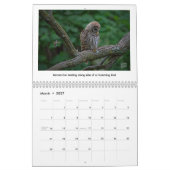 2026 Wildlife Calendar by Kevin Harris カレンダー (3月 2027)