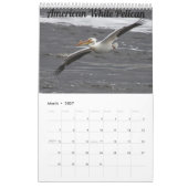 2026 Wisconsin Birds Calendar カレンダー (3月 2027)