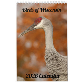 2026 Wisconsin Birds Calendar カレンダー