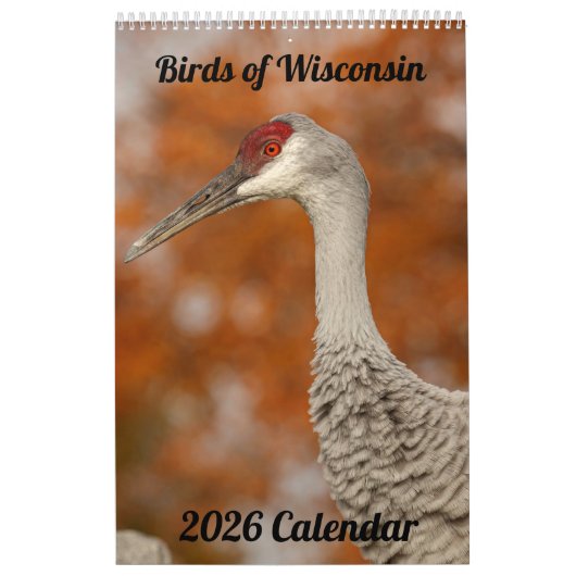 2026 Wisconsin Birds Calendar カレンダー (カバー)