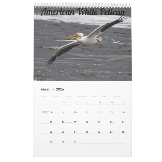 2026 Wisconsin Birds Calendar カレンダー (3月 2026)