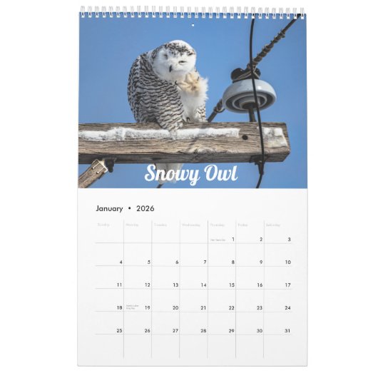 2026 Wisconsin Birds Calendar カレンダー (1月 2026)