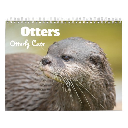2026otters カレンダー (カバー)