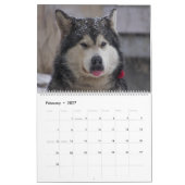2027年ハスキー犬のカレンダー カレンダー (2月 2027)