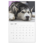 2027年ハスキー犬のカレンダー カレンダー (3月 2027)