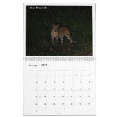 2027年野生動物写真カレンダー カレンダー (1月 2027)