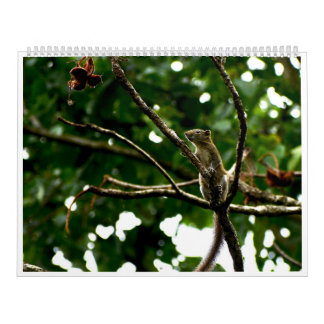 2027年野生動物写真カレンダー カレンダー