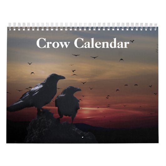 2027年 カラス カレンダー (カバー)