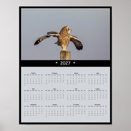 2027年 コミミズク 壁掛けカレンダー - 静かな飛行 ポスター (正面)