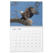 2027年 ハクトウワシ | 野生動物写真 カレンダー (1月 2027)