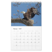 2027年 ハクトウワシ | 野生動物写真 カレンダー (2月 2027)