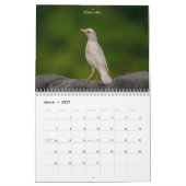 2027年 バックヤードの鳴き鳥 | 北米の野鳥 カレンダー (3月 2027)