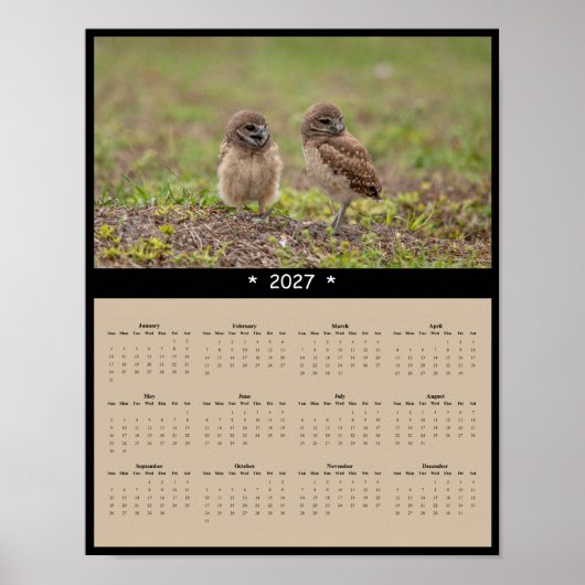 2027年 ミミズク 壁カレンダー - フクロウの家族 ポスター (正面)
