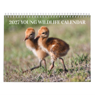 2027年 子どもの野生動物 カレンダー