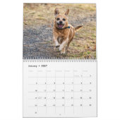 2027年 犬 | 四季を通じての最高の友達 カレンダー (1月 2027)