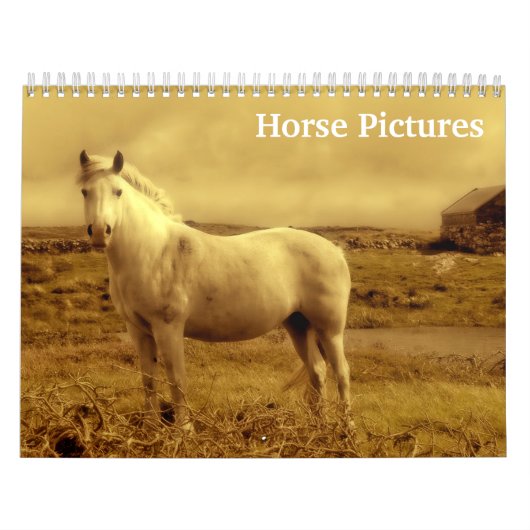 2027年 馬の写真 画像 カレンダー (カバー)