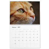 2027 かわいいオレンジブチ柄の猫+子猫 カレンダー (2月 2027)