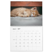 2027 かわいいオレンジブチ柄の猫+子猫 カレンダー (3月 2027)