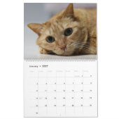 2027 かわいいオレンジブチ柄の猫+子猫 カレンダー (1月 2027)