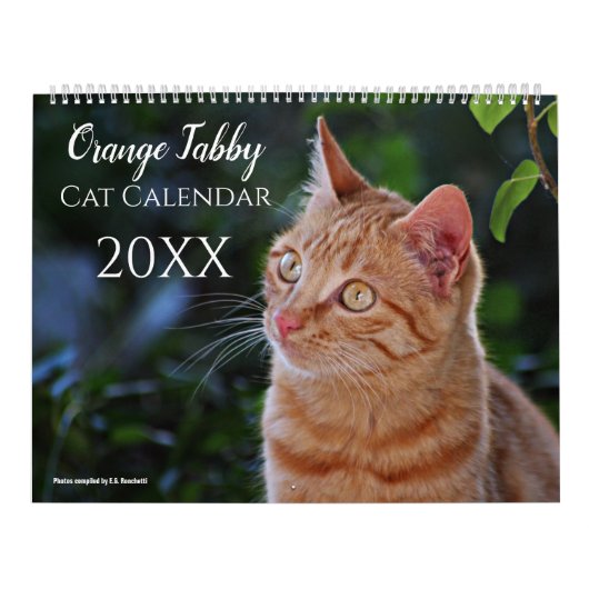 2027 かわいいオレンジブチ柄の猫+子猫 カレンダー (カバー)