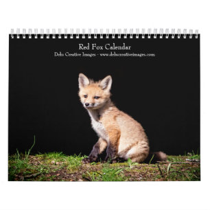 2027 アカギツネ   森の野生動物写真 カレンダー