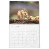 2027 アディロンダックシマリス、森林の野生生物写真 カレンダー (1月 2027)