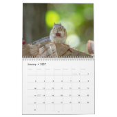 2027 アディロンダック シマリス | 森の写真 カレンダー (1月 2027)