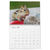 2027 アディロンダック シマリス | 野生動物の写真 カレンダー (1月 2027)