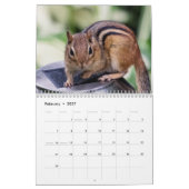2027 アディロンダック シマリス | 野生動物の写真 カレンダー (2月 2027)