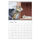 2027 アディロンダック シマリス | 野生動物の写真 カレンダー (2月 2027)