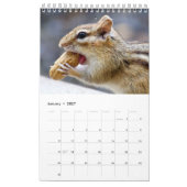 2027 アディロンダック シマリス | 野生動物の写真 カレンダー (1月 2027)