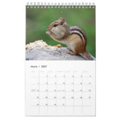 2027 アディロンダック シマリス | 野生動物の写真 カレンダー (3月 2027)