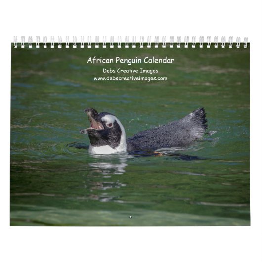 2027 アフリカペンギン | 南アフリカの野生生物 カレンダー (カバー)