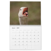 2027 カナダガン | ファミリー野生動物写真 カレンダー (3月 2027)