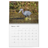 2027 サギとシラサギ | 湿地の野鳥写真 カレンダー (2月 2027)
