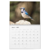 2027 ルリカケス | 裏庭の野鳥写真 カレンダー (3月 2027)