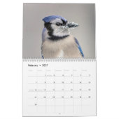 2027 ルリカケス | 裏庭の野鳥写真 カレンダー (2月 2027)