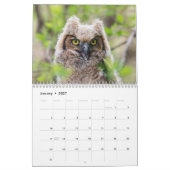 2027 北米のフクロウ | 野生動物写真 カレンダー (1月 2027)